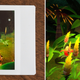 The images you capture in New Pokémon Snap, with their bright colors and high saturation, will actually produce some of the best results the printer and instant film stock are capable of.